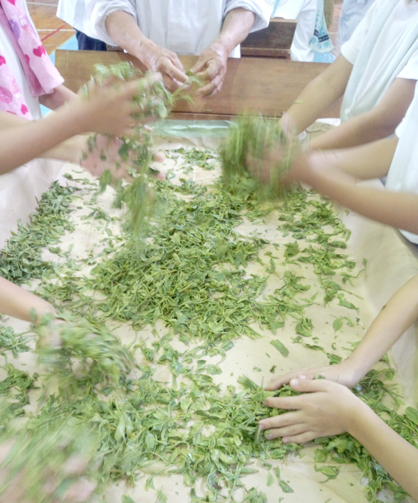 愛鷹小学校三年生を対象に『手揉み茶体験教室』